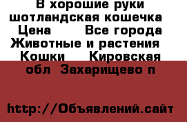 В хорошие руки шотландская кошечка › Цена ­ 7 - Все города Животные и растения » Кошки   . Кировская обл.,Захарищево п.